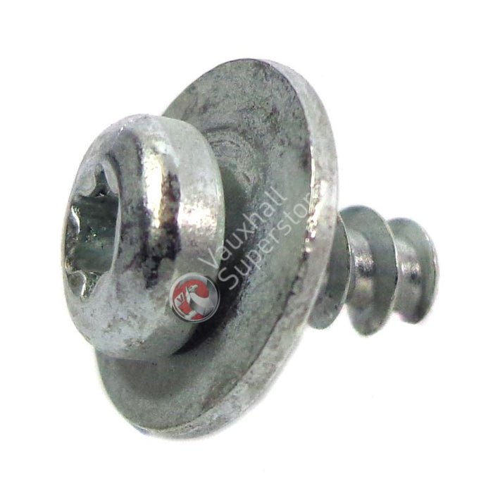 Screw-Oval Head Shee
