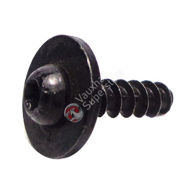 Screw, Oval Head