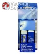 Halo Silver Touch-Up Paint (colour code: GKY)