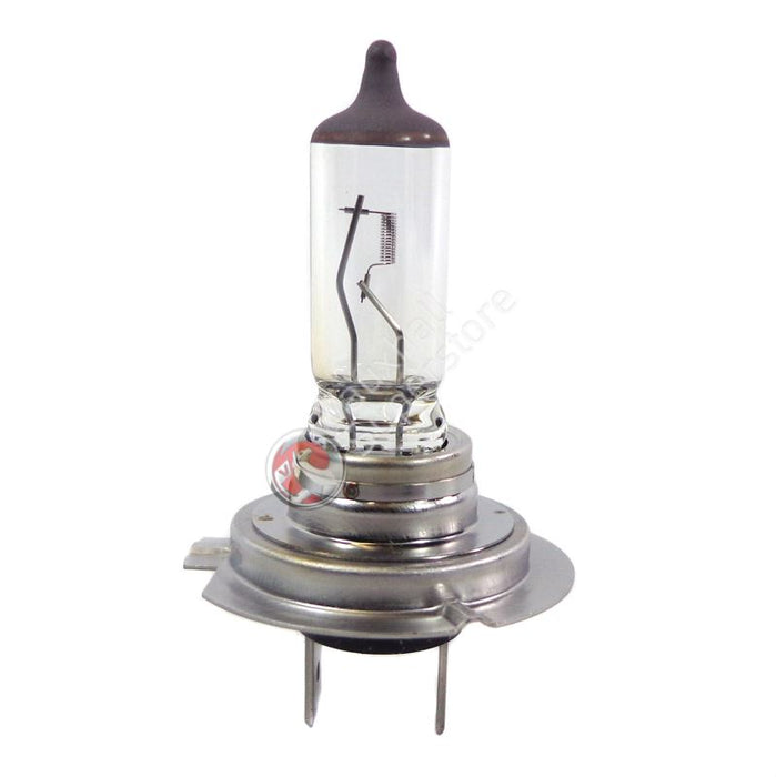 Bulb