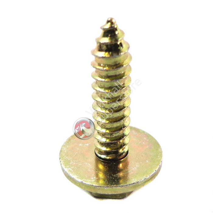 Screw Tapered-Hex.hd