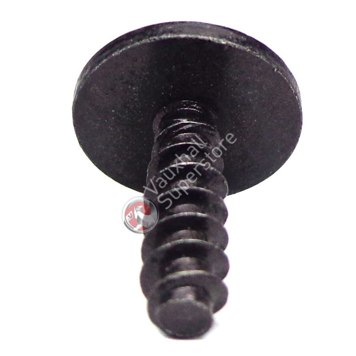 Screw, Oval Head