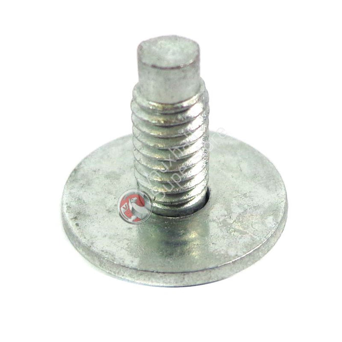 Screw-Oval Head Shee
