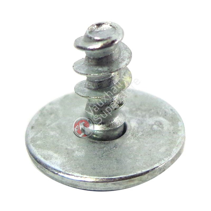 Screw-Oval Head Shee