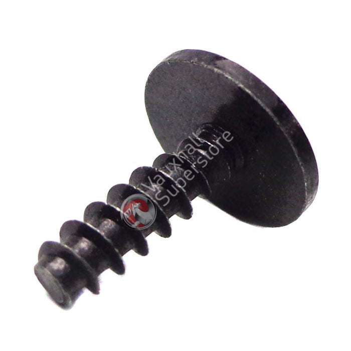 Screw, Oval Head