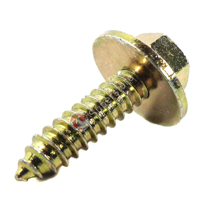 Screw Tapered-Hex.hd