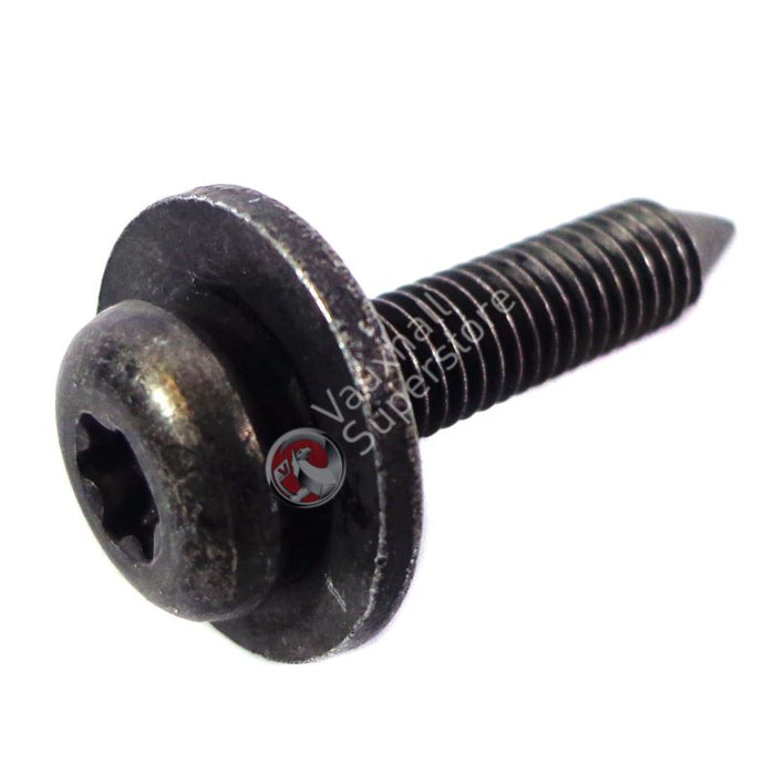 Screw-Fillister Head