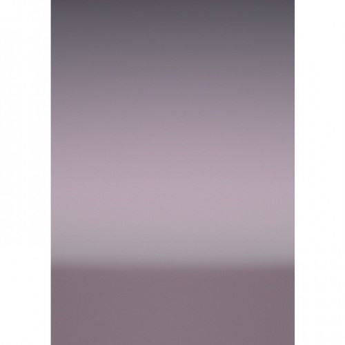 Adam Rose Metallic Painted Decors Interior Trim Kit