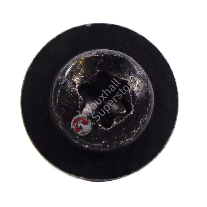 Screw-Torx