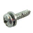 Screw-Oval Head Shee
