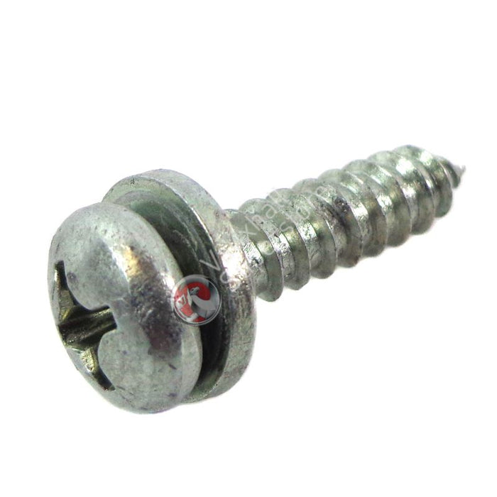 Screw-Oval Head Shee