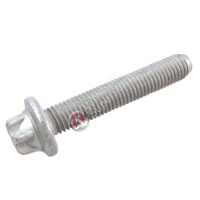 Screw