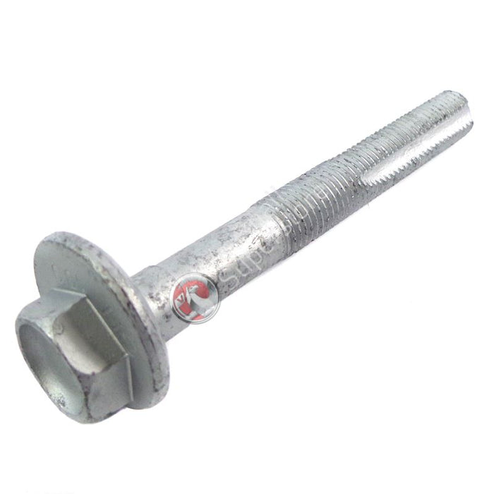 Screw With Washer