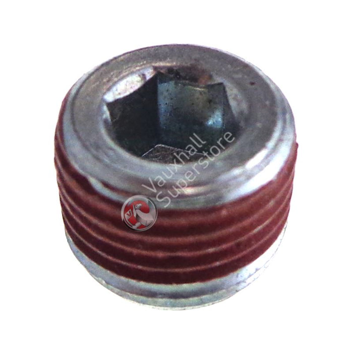 Screw Plug