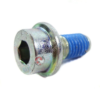 SCREW, TORX, M8 X 16, WATER PUMP TO CYLINDER BLOCK