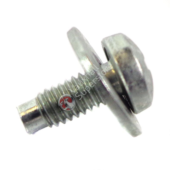 Screw-Oval Head Shee