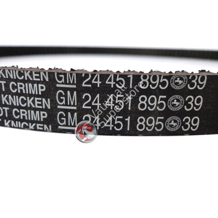 Tooth Belt - ONE ONLY AT THIS PRICE