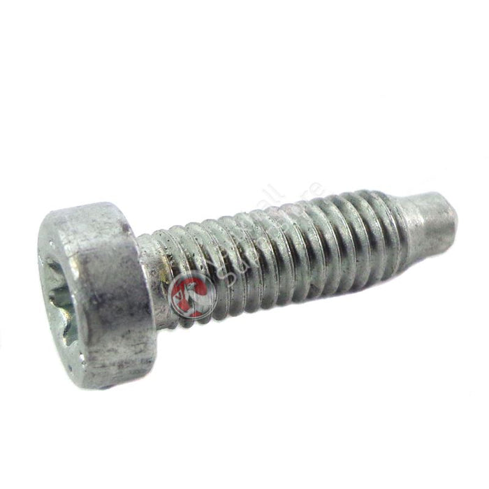 Screw-Fillister Head