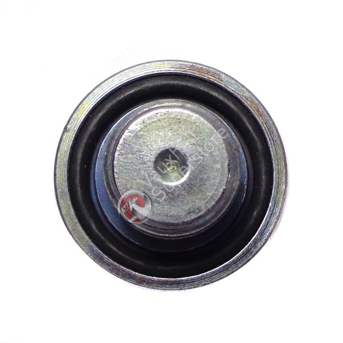 Screw, Oil Drain