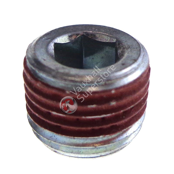 Screw Plug