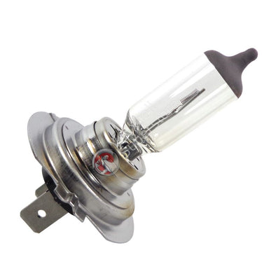 Bulb