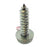 Screw-Oval Head Shee