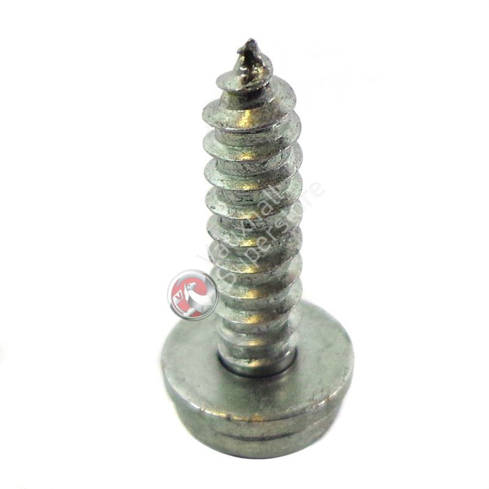 Screw-Oval Head Shee
