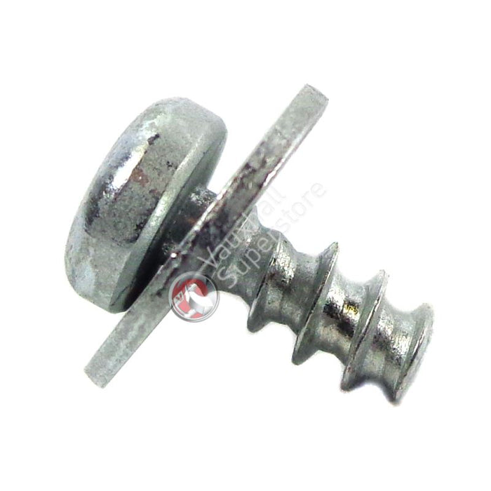 Screw-Oval Head Shee