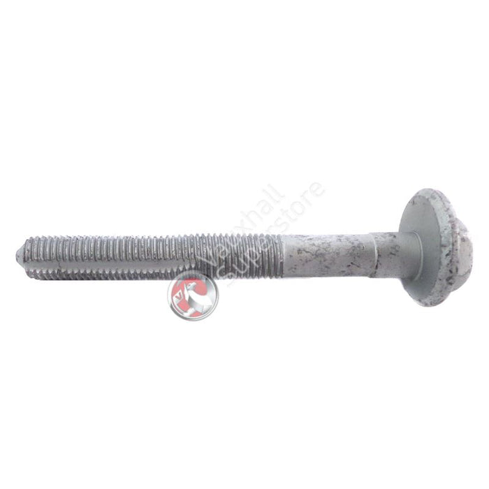 Screw With Washer