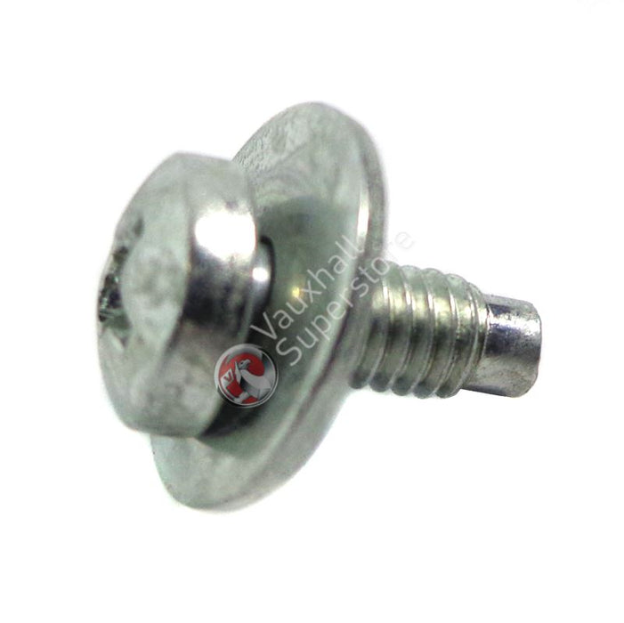 Screw-Oval Head Shee