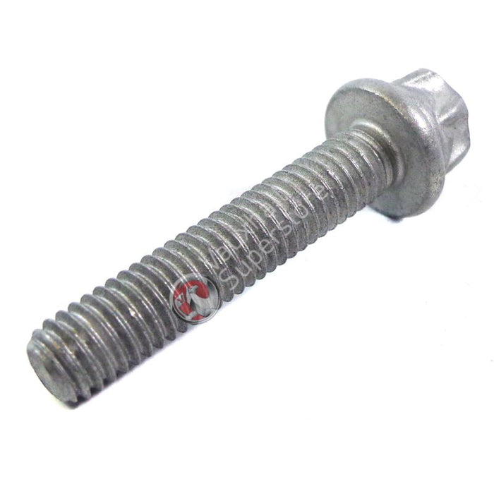 Screw-Torx